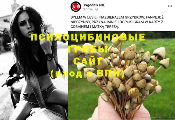 марихуана Абаза