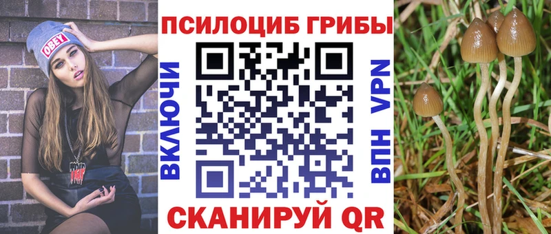 дарнет шоп  гидра маркетплейс  Псилоцибиновые грибы ЛСД  Краснодар 