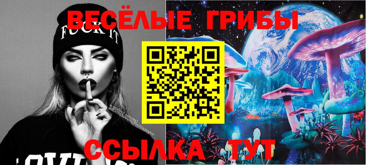 Псилоцибиновые грибы прущие грибы  сколько стоит  Краснодар  Галлюциногенные грибы Psilocybe  Вход с VPN 